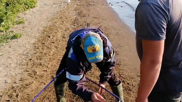 и снова на каме смотреть онлайн