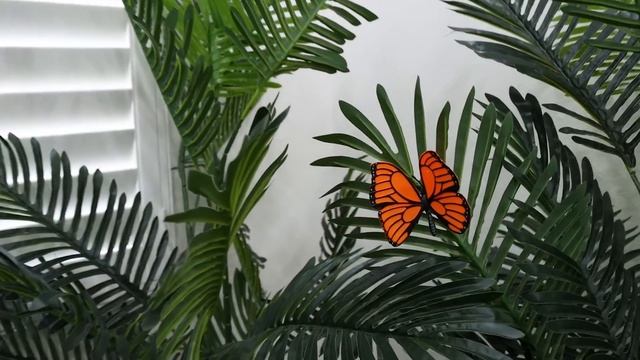 Alex Play Learning About Insects with Mystery Box Toy Challenge| Fun Insect Facts and Toys for Kids смотреть онлайн