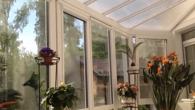 Кассетные рулонные шторы с электрокарнизом. Зимний сад смотреть онлайн