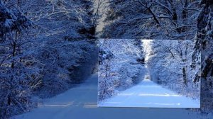 Татьяна Снежина  Нас больше нет