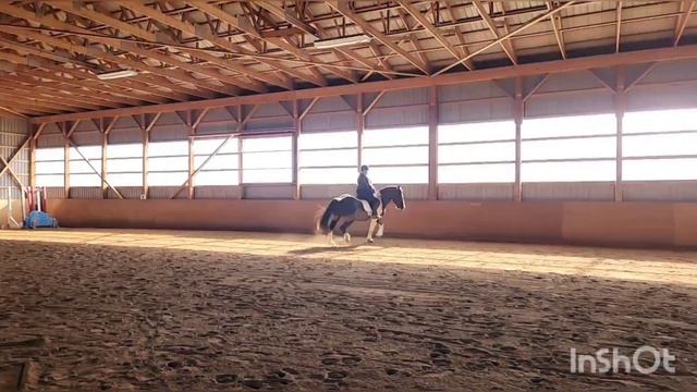 Justine Roberts and Diamond On A Landmine Audition Video смотреть онлайн