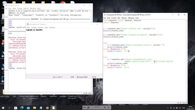 Python requests (Часть №10) смотреть онлайн