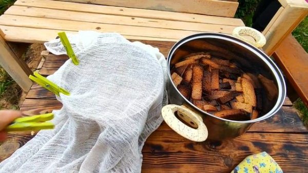 ???️ КВАС не получается? Забудьте! ИДЕАЛЬНЫЙ рецепт домашнего кваса