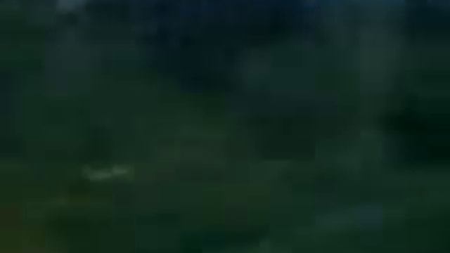бор жижицы редеет аж до Русаново.flv смотреть онлайн