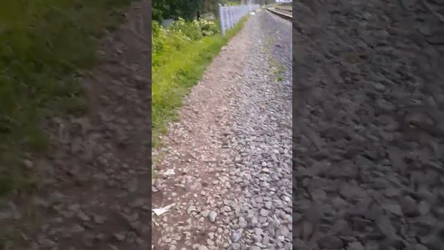 Кобралово  Лен.обп.