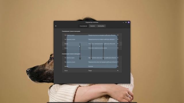 ? Управление жестами на тачпаде в Linux Mint 21.2 ? смотреть онлайн
