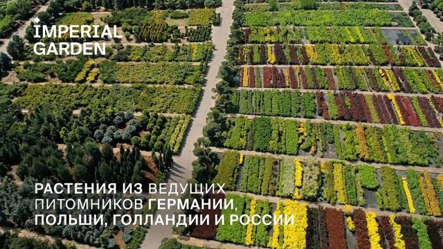 Приглашаем в IMPERIAL GARDEN смотреть онлайн