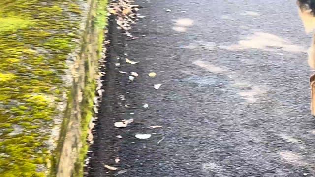 И СНОВА ИТАЛЬЯНСКАЯ ПРОВИНЦИЯ -ОБО ВСЕМ смотреть онлайн