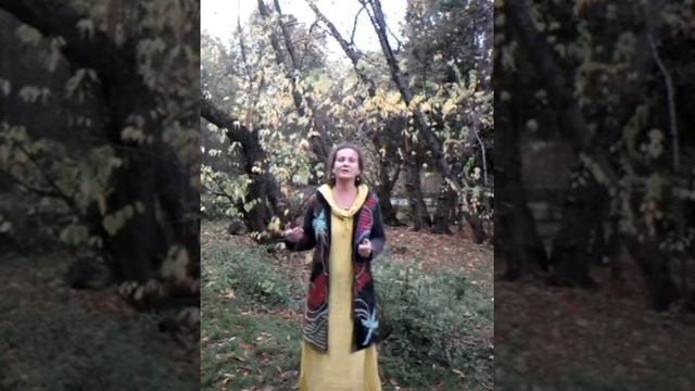 Отношения с подростком при разводе родителей #3 смотреть онлайн