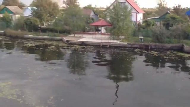 Kherson, cottages on the Dnieper. Херсон, дачи на Днепре смотреть онлайн
