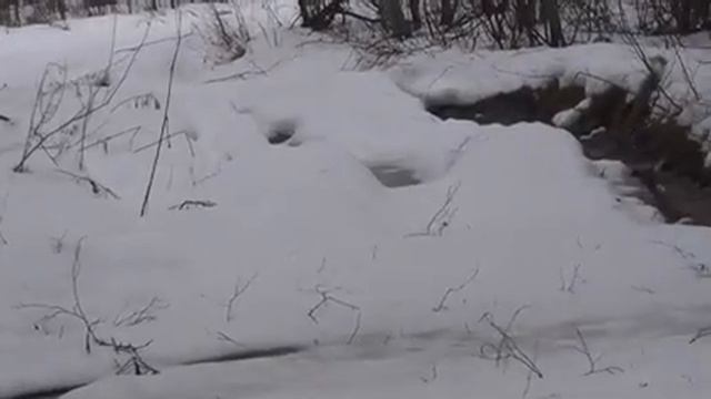 Искатели приключений! Когда ну ОЧЕНЬ хочется копать! ЧАСТЬ 2 смотреть онлайн