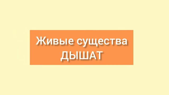 Живое и неживое смотреть онлайн