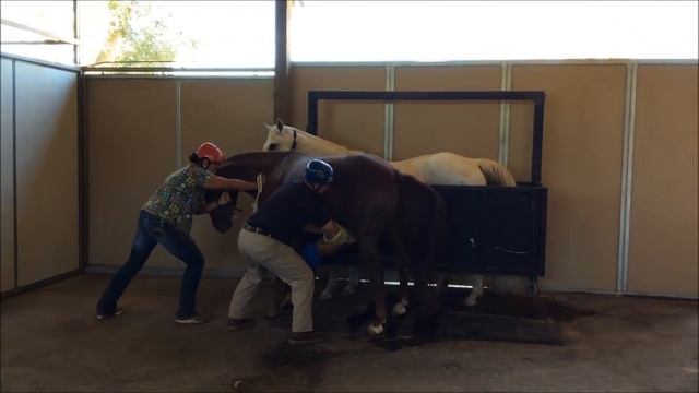 Ground Collection смотреть онлайн