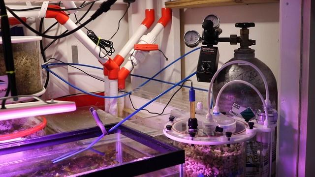 Big Upgrade | 300 Gallon SPS Reef Tank | Aquamaxx CTech T3 Calcium Reactor смотреть онлайн