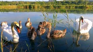 Славянск. 23 июля 2024г. Утро.