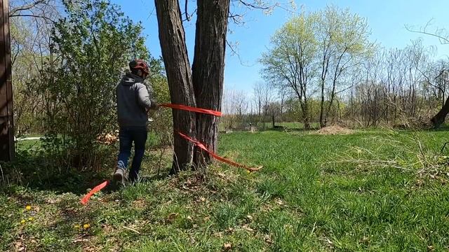 Small Jobs, Big Monies - Solo Tree Work смотреть онлайн