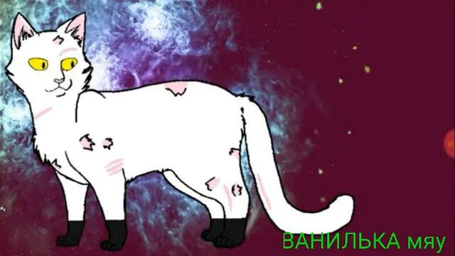 Угадай кота воителя ( легко)