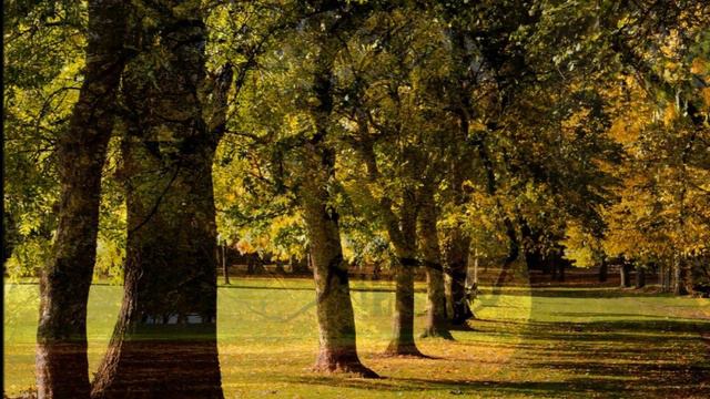 GUS ANTON-KONZERTCHOR ~ Nächtliches Ständchen - Franz Schubert ~ Ltg. GUS ANTON (1991)...