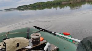 Рыбалка выше Волховской ГЭС. Река Волхов. Лещ. Фидер. Ловля с лодки.