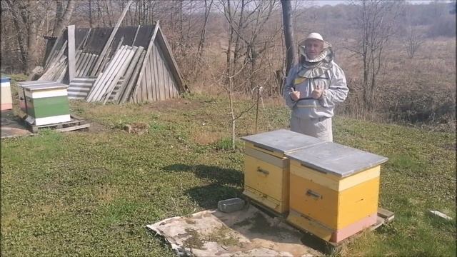 Что нужно для получения ранневесеннего взятка смотреть онлайн