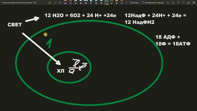 Фотосинтез самое простое и быстрое объяснение ЕГЭ смотреть онлайн