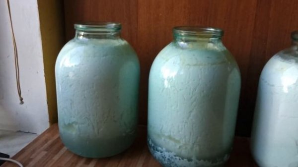 Как приготовить натуральный домашний творог как в деревне из молока