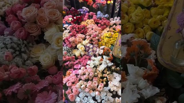 Beautiful Flower | Flowers Beauty | смотреть онлайн