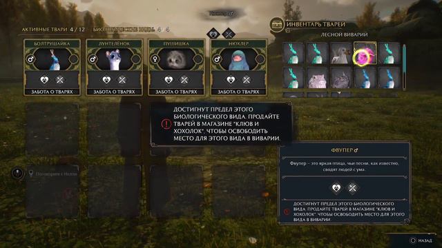 Hogwarts legacy PS5 смотреть онлайн