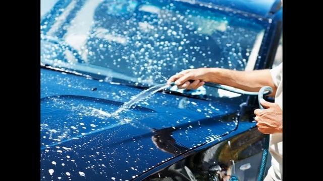 Осторожно,птицы!Как они портят краску в машине смотреть онлайн