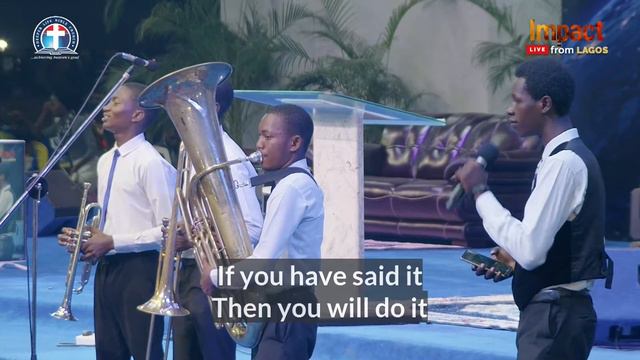 Round up Sax || Impact || смотреть онлайн