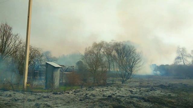 ПОЖАР! Чуть не сгорели! Подпал сухостоя приводит к беде! смотреть онлайн