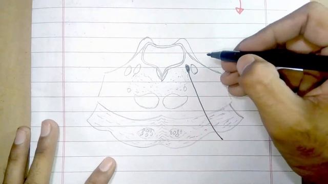 Transverse section Of "PONS" At the Level of Trigeminal Nuclei Drawing ; How To Draw PONS. смотреть онлайн