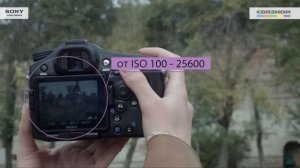 Связной. Обзор Sony Alpha 77 II