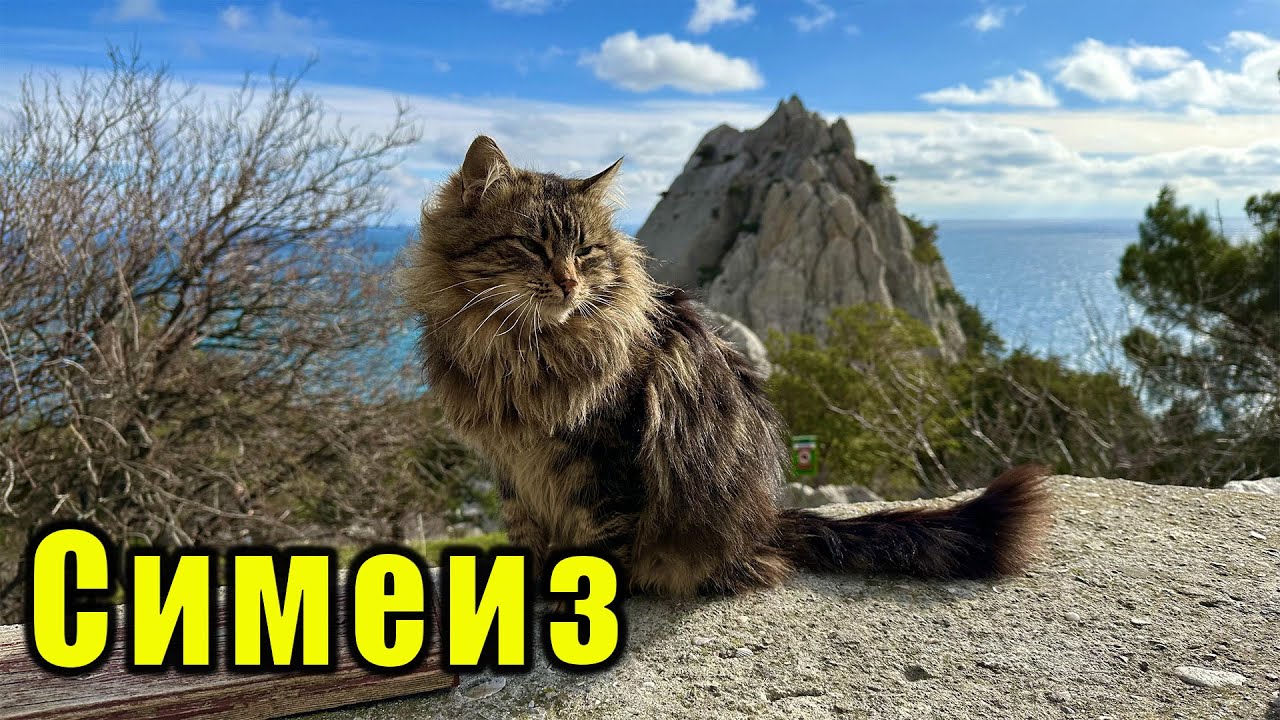 ЧТО ТАКОГО В СИМЕИЗЕ, ЧЕГО НЕТ В ДРУГИХ МЕСТАХ. Крым, скала Дива , скала Лебединое крыло . смотреть онлайн