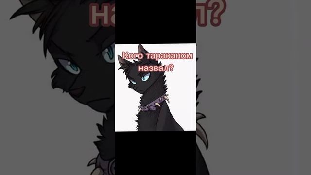 Защитник||Прикол коты-воители смотреть онлайн
