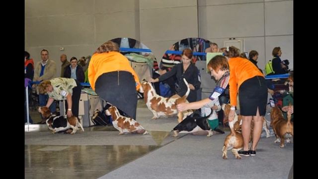 19-20 октября выставка "Россия2013" смотреть онлайн