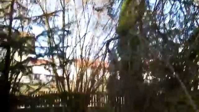 Nikon Coolpix S9500 Photos & Videos