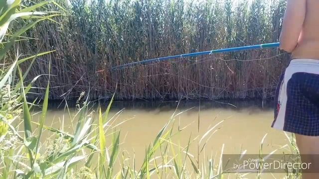 Рыбалка на стрелках лимана смотреть онлайн
