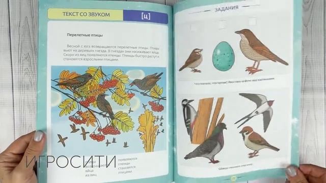 Развитие связной речи дошкольников на материале текстов цепной структуры смотреть онлайн