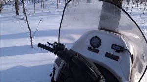 ТАЙГА ВАРЯГ 550. ГДЕ ОНА ЕЗДИТ!!!