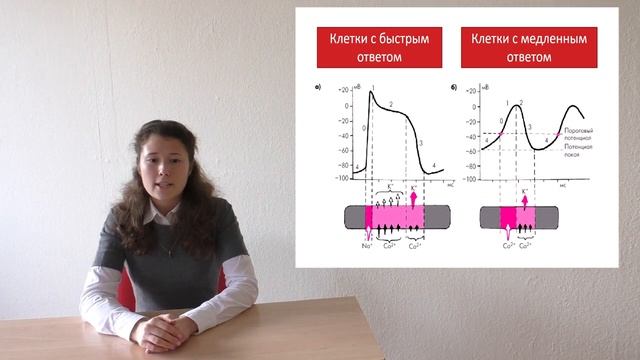 Аграрно-технологический институт. Лекция Тайны проводящей системы сердца