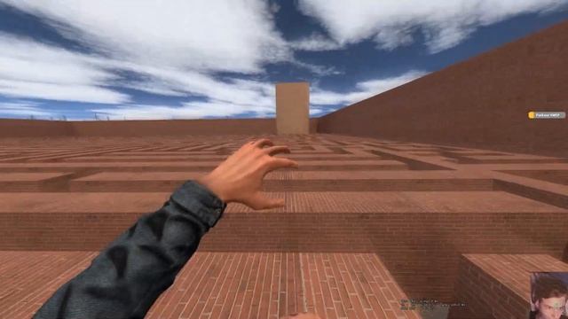 Maxwell Cat Family Maze