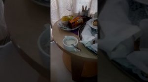 Отель «Причал»*** г.Адлер ул.Просвещения, 7. Завтрак