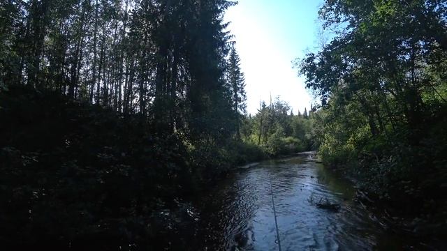 ПОХОДЫ: четыре дня на Волкозере. Отдых и рыбалка. смотреть онлайн