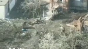 Реальная работа снайперов