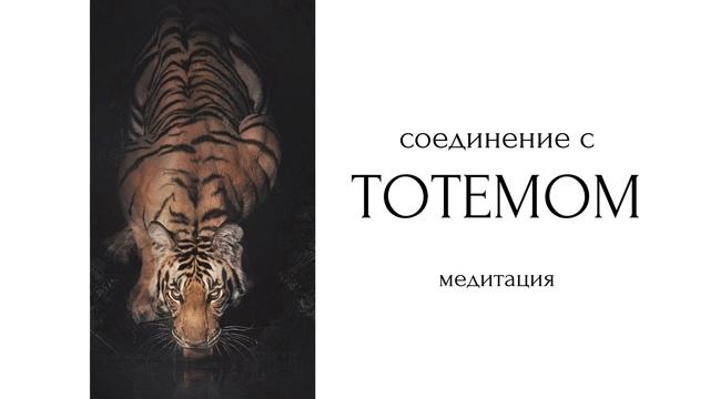 Медитация: соединение со своим тотемным животным смотреть онлайн