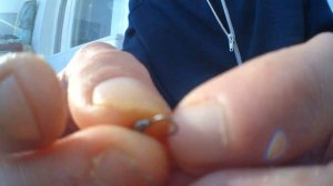 как нацепить опарыша на мормышку при пассивном,плохом клёве.