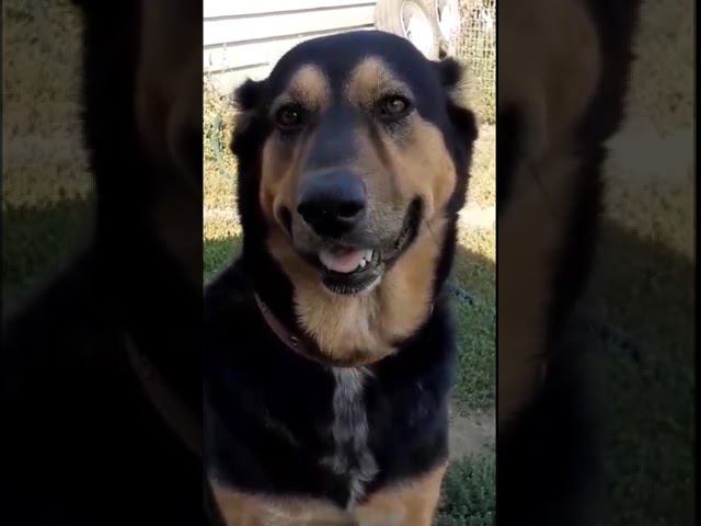 Незаменимых в жизни нет,есть те,кого менять не хочется.... смотреть онлайн