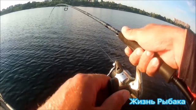 Когда молчит джиг, глубоководные воблеры спасают рыбалку.   Strike Pro Jumper DR 110SP #щука #твич