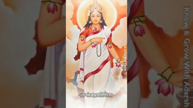 Navratri Day 2 Whatsapp Status | माँ ब्रह्मचारिणी स्टेटस | Maa Brahmacharini Whatsapp Status #short смотреть онлайн